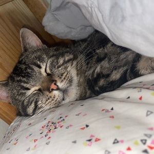 Meet your Posher, Evelyn